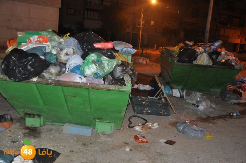 trash lud 907 (38).JPG